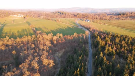 Revealing-drone-footage-of-a-car-driving-along-a-scenic-forest-road