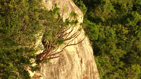 Steep-coastal-rock-bluff-with-lush-tropical-vegetation-of-dense-forest