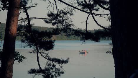 View-between-two-trees-on-the-lake-and-a-sailing-boat