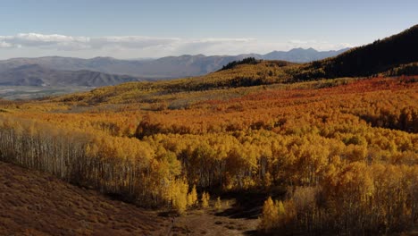 Die-Bunt-Wechselnden-Baumfarben-Von-Norther-Utah