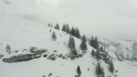 Luftaufnahmen-Von-Kiefern-Am-Rande-Des-Berges-Mit-Blick-Auf-Das-Schneeweiße-Tal