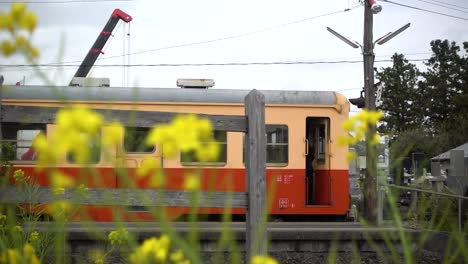 Kominato-train-in-Japan-with-conductor-entering-at-station