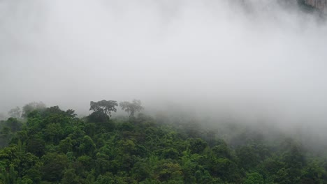 Niebla-Moviéndose-Lentamente-Hacia-La-Izquierda-Cubriendo-Una-Jungla-Vista-Desde-Arriba-En-Sai-Yok-Muy-Cerca-De-La-Frontera-De-Myanmar,-Kanchanaburi,-Tailandia