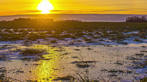 Frozen-winter-farm-land-with-golden-light-during-sunset