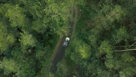 White-Car-Driving-In-The-Country-Woodlands-With-Lush-Green-Foliage
