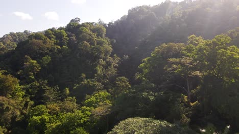 Üppiger-Wald-Und-Berge-Von-Jaco,-Costa-Rica