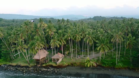 aerial-drone-of-a-camper-van-parked-on-a-beach-surrounded-by-a-field-of-coconut-trees-and-bungalows-on-a-black-sand-beach-of-Bali-Indonesia-during-sunrise