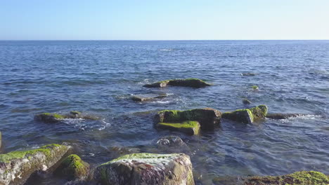 Algas-En-El-Arrecife-En-La-Orilla-De-La-Playa-Del-Mar