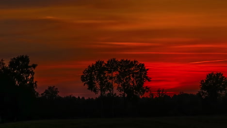 Timelapse-shot-of-yellow-sunset-behind-forest-trees-during-beautiful-autumn-day-with-orange-colored-sky-turning-dark