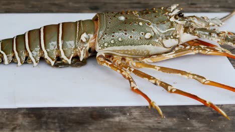 Motion-shot-big-spiny-lobster-standing-on-white-cutting-board,-Thailand-Delicacy