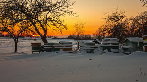 Sun-sets-over-snow-covered-landscape-with-beehives,-red-orange-sky