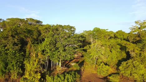 Luftaufnahme,-Wegbewegende-Aufnahme,-Malerische-Aussicht-Auf-Eine-Blockhütte-Im-Amazonaswald-An-Einem-Strahlend-Sonnigen-Tag-In-Kolumbien,-Amazonas-Im-Hintergrund