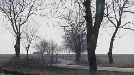 Rural-Road-With-Bare-Trees-On-Both-Sides-On-A-Cloudy-Day---static-shot