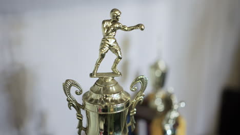 Static-view-of-boxing-champions-trophy