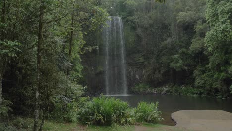 Scenic-View-Of-The-Millaa-Millaa-Falls-In-Queensland,-Australia---panning-shot
