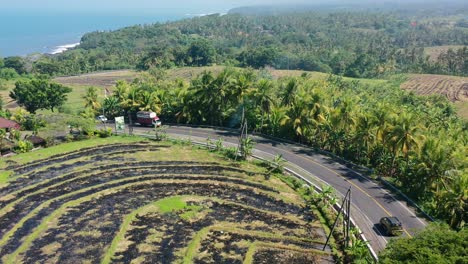 trucks-and-cars-driving-on-a-tropical-island-with-burned-rice-field-terrace,-aerial