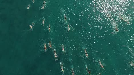 Overhead-view-of-swimmers-in-a-race-in-the-Pacific-ocean-on-sunny-day