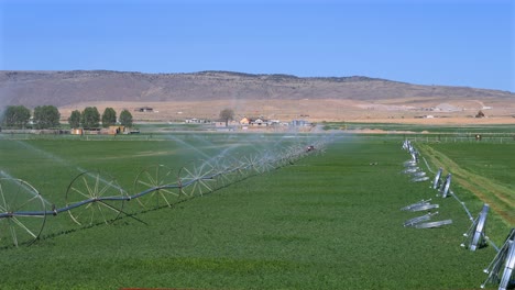 Large-irrigation-system-watering-a-huge-green-field-of-crops