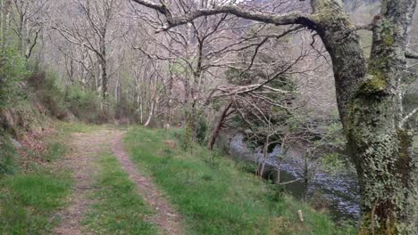 walking-along-the-hiking-trail-under-oak-trees-along-the-Sor-River-in-spring-on-a-bright-day