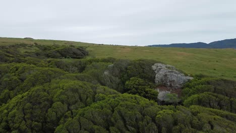 Drone-Volando-Hacia-La-Gente-Caminando-En-La-Naturaleza-Virgen-Yendo-A-Acampar,-California