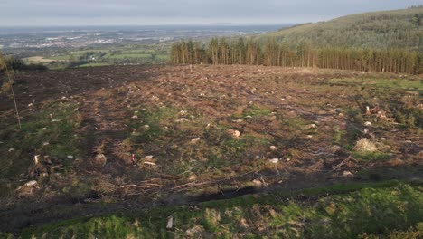 Drone-shot-of-deforestation-on-a-hill-in-Dublin,-Ireland