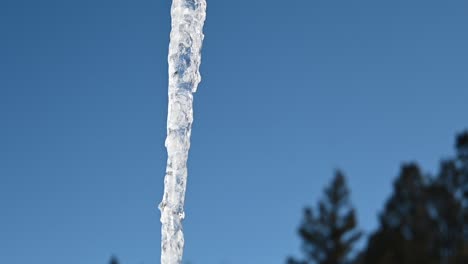 Icicle-hanging-from-lightbulb-during-the-winter-on-a-cloudless-day,-close-up