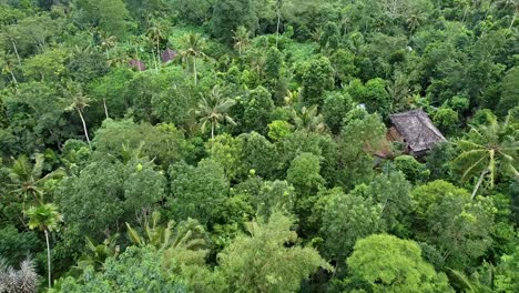 Aerial-view-over-isolated-and-secluded-tribal-huts-amidst-dense-green-forest