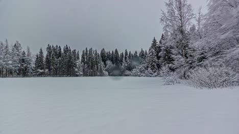 Dawn-Till-Dusk-In-Snowscape-Winter-Forest-Land