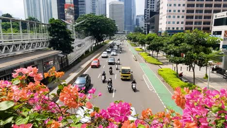 Rush-hour-traffic-in-Jakarta-downtown,-Indonesia-from-pedestrian-bridge-with-flowers