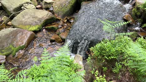 Slow-flowing-stream-showing-water-moving-over-small-and-large-rocks