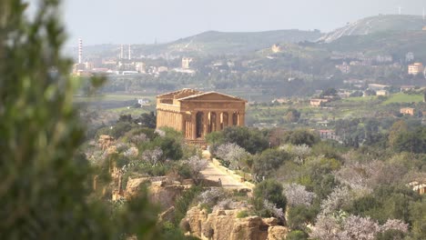 Landscape-of-the-Tempio-della-Concordia-in-Valley-of-the-Temples-near-Agrigento,-Sicily,-Italy-with-a-tree-in-foreground