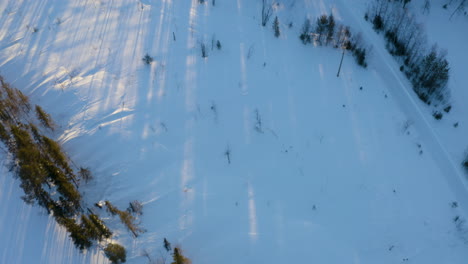 Luftaufnahme,-Die-Sich-über-Die-Weite,-Schneebedeckte,-Bewaldete-Skandinavische-Berglandschaft-Unter-Der-Skyline-Des-Sonnenaufgangs-Neigt