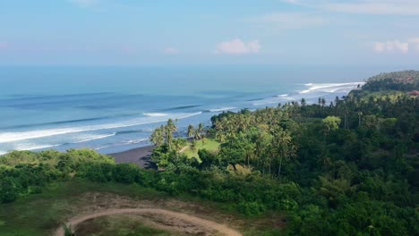 aerial-of-jungle-island-coastline-with-coconut-trees-and-black-sand-beach-in-Bali-on-sunny-day