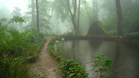 Schwäne-Schwimmen-Im-Pena-Park-An-Einem-Regnerischen,-Mit-Nebel-Bedeckten-Tag