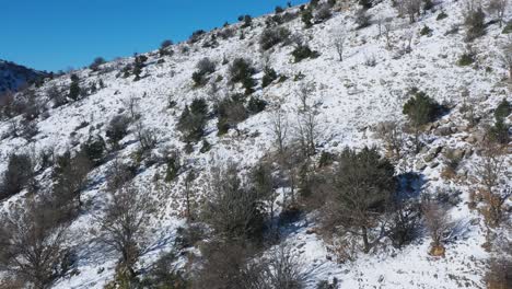 Vuelo-De-Drones-Sobre-Una-Montaña-Alpina-Escarpada-Cubierta-De-Nieve-Con-Cielo-Azul-En-Mt,-Hermon-En-Los-Altos-Del-Golán,-Israel