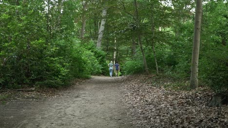 2-people-walking-hand-in-hand-romantically-in-the-forest