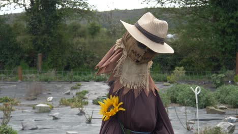 A-Humanoid-Scarecrow-Standing-In-The-Middle-Of-The-Farm-In-Ireland,-County-Laois,-Europe