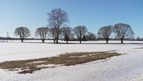 Beautiful-shot-of-a-winter-field-with-leafless-trees