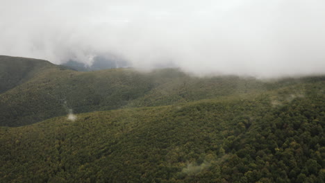Volando-Sobre-El-Bosque-Verde-En-Un-Día-Nublado-A-Través-De-Las-Nubes,-Toma-Aérea,-Eslovaquia