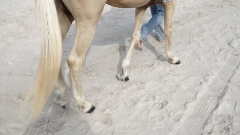 Weißes-Und-Braunes-Pferd,-Das-An-Einem-Weißen-Sandstrand-An-Seinem-Besitzer-Vorbeigeht-Und-Seine-Fußspuren-Im-Sand-An-Einem-Wahrzeichen-Eines-Touristenziels-Hinterlässt