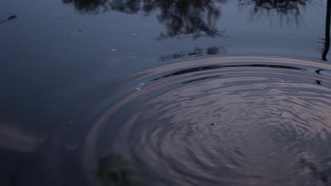 Pebble-in-water-creates-ripples-reflection-of-sky
