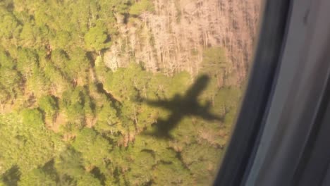 Shadow-of-jet-on-ground-flying-over-trees