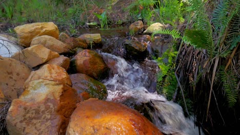 Water-stream-runs-peacefully-over-rocks-in-a-stream-with-ferns-next-to-it