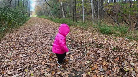 Little-girl-in-pink-hooded-jacket-runs-and-jumps-into-a-pile-of-leaves-SLOW-MOTION