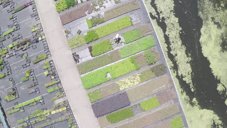 Drone-descending-to-working-man-in-nursery-garden