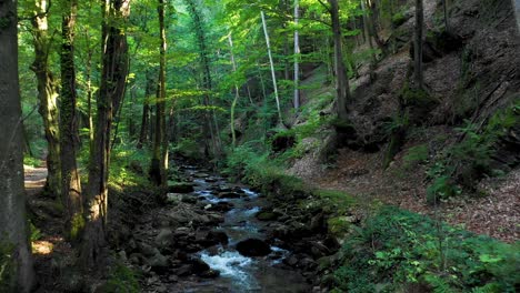 Mountain-river-flowing-over-rocks-and-boulders-in-forest,-Bistriski-Vintgar-gorge-on-Pohorje-mountain,-Slovenia,-dolly-shot-backwards,-4k,-ecology-clean-water-concept,-natural-resources