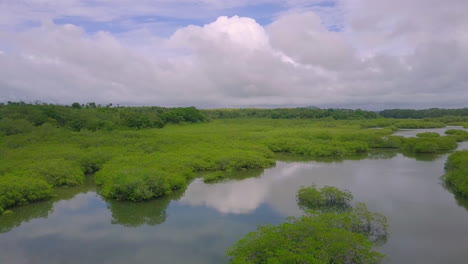 Wunderschöne-Landschaft-Aus-Morast-Und-Fluss-In-Boca-Chica,-Panama