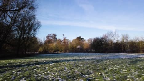 Schneebedecktes-Gras-Mit-Vorbeifliegenden-Vögeln-An-Einem-Sonnigen-Wintermorgen