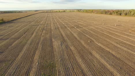 Aerial-view-of-a-harvested-field-and-large-round-bales-of-straw-with-drone-flying-backwards
