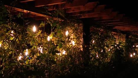 hanging-lightbulbs-with-warm-orange-glow,-hanging-from-a-vine-arch
